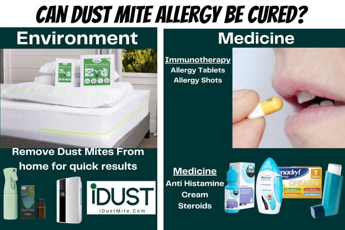 Various treatments for dust mite allergy including home cleaning, allergy shots, and tablets.