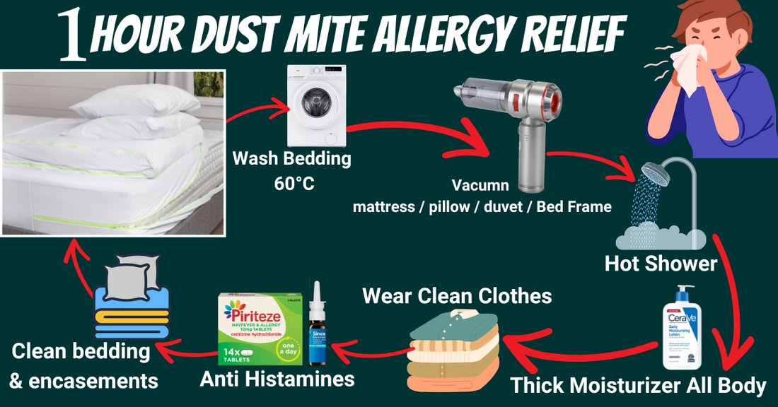 Dust Mite Allergy Relief - 1 Hour Instant Relief