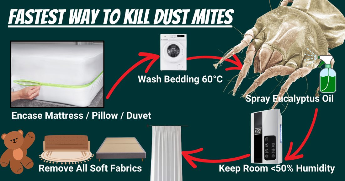 The most effective methods that kill dust mites, encasements, eucalyptus spray, a dehumidifier and 60 degree washing