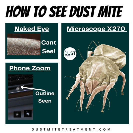 How To See Dust Mites - With Naked Eye / Phone and Microscope
