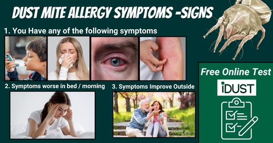 House Dust Mite Allergy Symptoms and Free Test