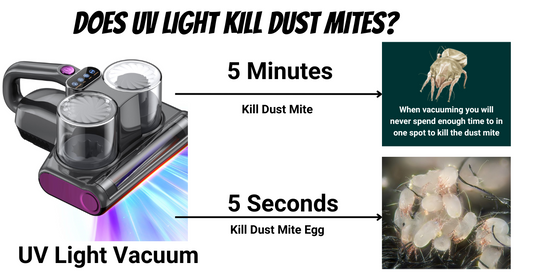 Do UV Dust Mite Vacuum Cleaners Work?