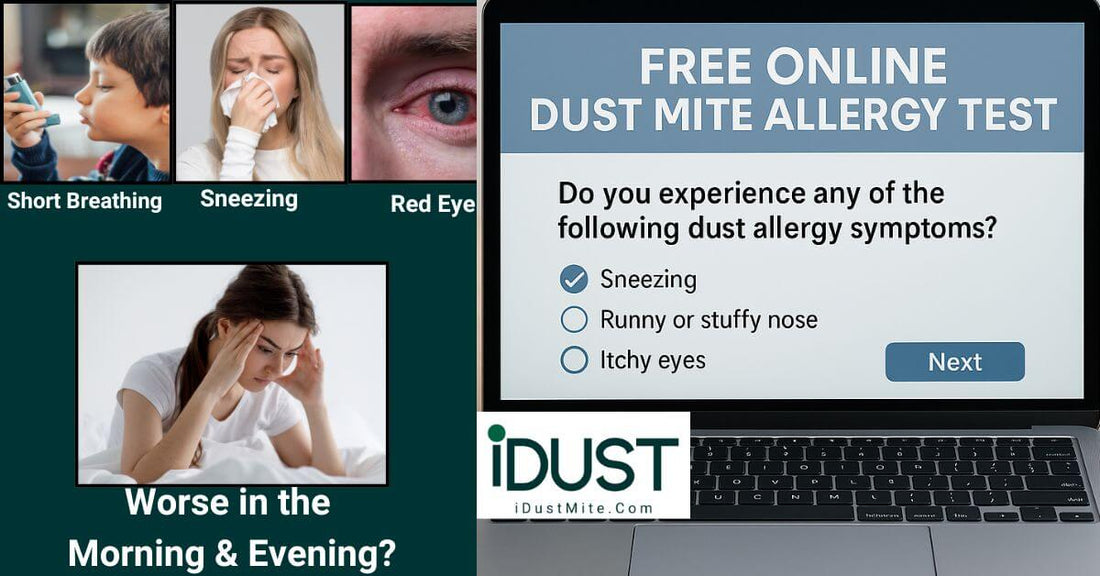 Laptop showing free online dust mite allergy test with multiple choice symptom questions