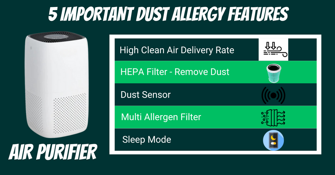 The Best Air Purifier for Dust Removal: Guide for Dust Mite Allergy Sufferers
