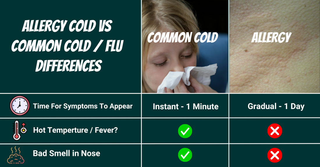 Allergy Cold vs Common Cold: Whats the Difference?