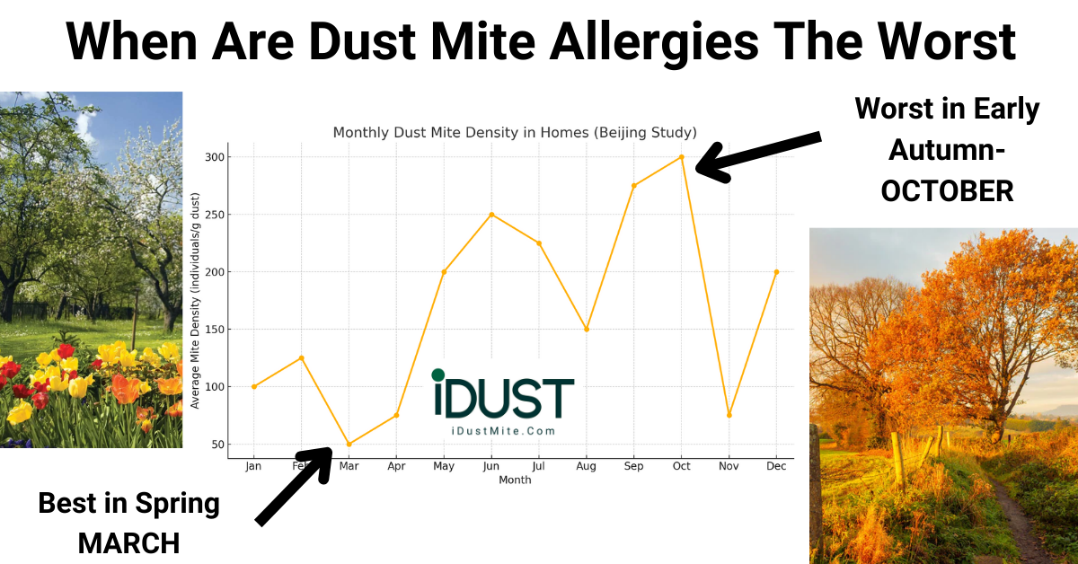 When Are Dust Mite Allergies the Worst? Understanding Dust Mite Season
