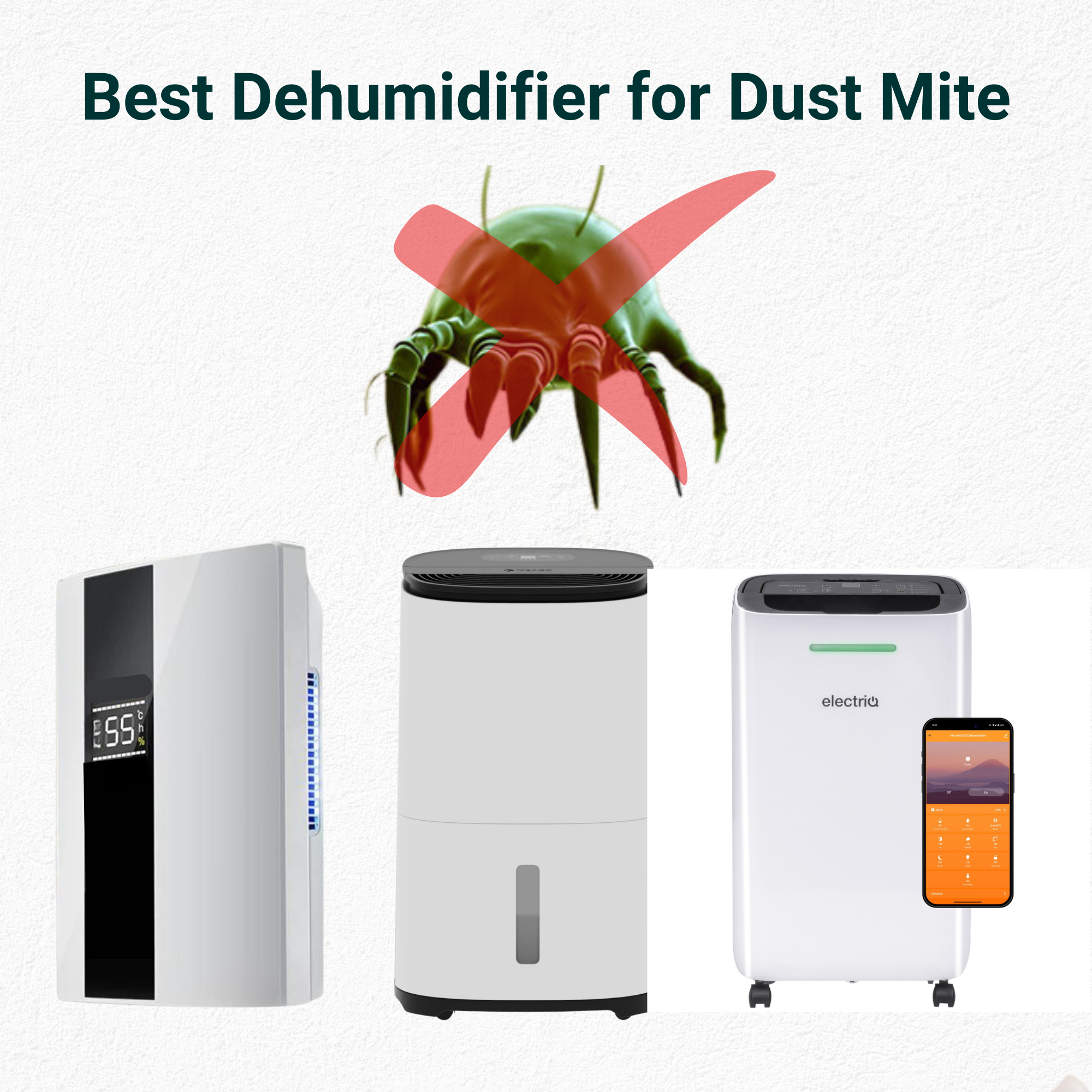3 dehumidfiers that are the best for killing dust mites