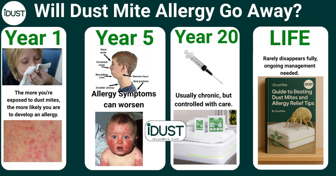 Man struggling with dust mite allergy symptoms after 20 years wondering will dust mite allergy go away