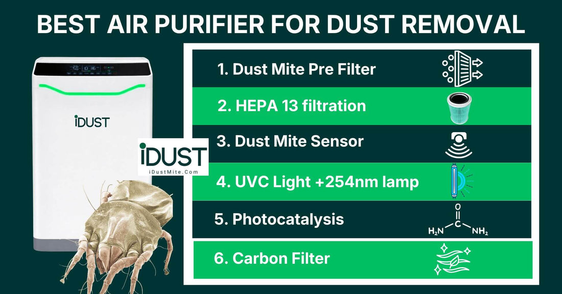 Best Air Purifiers for Dust Mite Allergies ( Buyer's Guide)