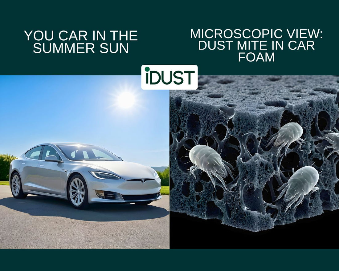 A microscopic view showing how dust mites in car seats survive extreme summer heat by hiding deeply inside insulated polyurethane foam.