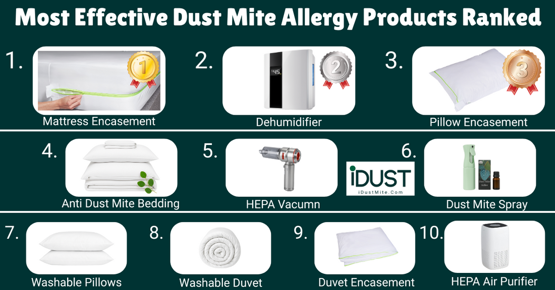 Top 10 Dust Mite Allergy Products Ranked for Relief