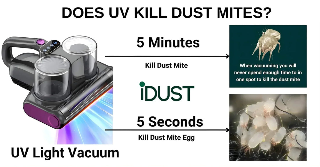 Scientific proof showing how UV-C light in dust mite vacuums damages mite DNA and kills them