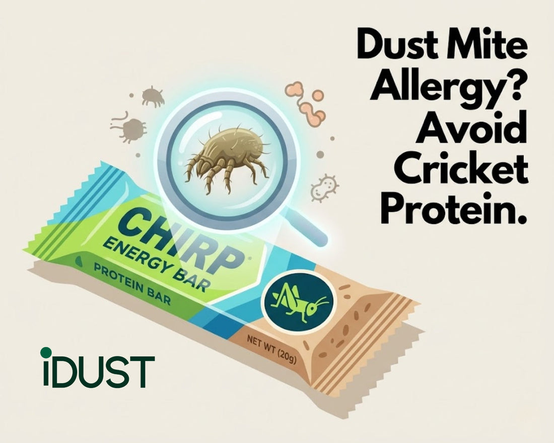 A flat-design graphic illustrating allergic cross-reactivity. A magnifying glass hovers over a trendy cricket protein bar, revealing a microscopic house dust mite inside the lens. Text reads: "Dust Mite Allergy? Avoid Cricket Protein.