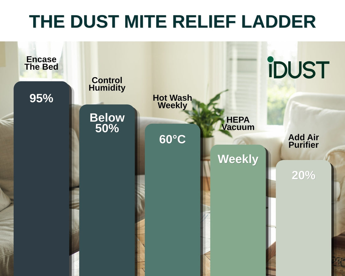Do Air Purifiers Help With Dust Mite Allergies? An Honest 2026 Answer