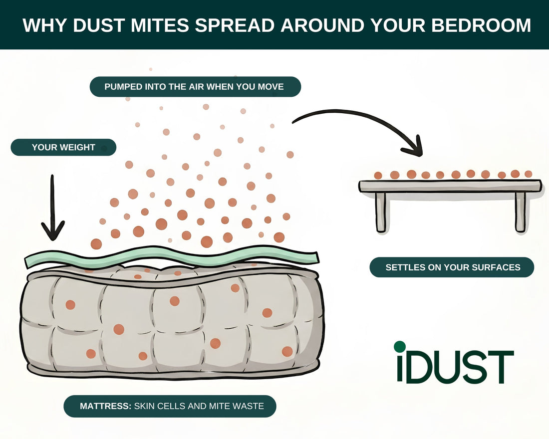 Diagram showing dust mites and skin cells pumped from a mattress into the air and settling on bedroom surfaces
