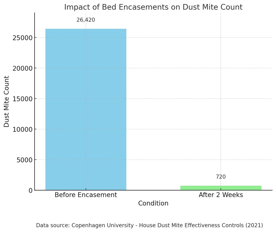 Statistical graph demonstrating the effectiveness of bed encasements on reducing dust mite populations and allergens before and after protection.