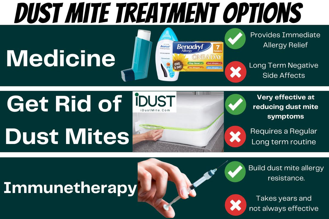 Discover the 3 most effective dust mite allergy treatments: medication, encasements with purifiers, and immunotherapy for long-term relief.