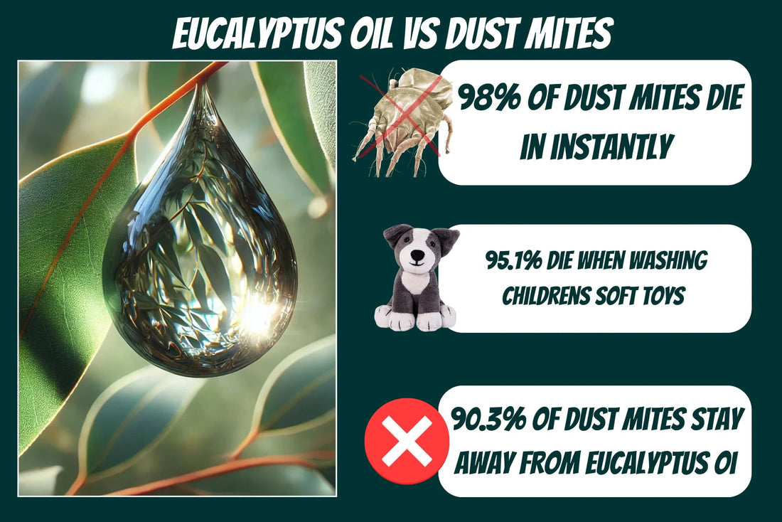 Infographic on eucalyptus oil vs dust mites, detailing its effectiveness with 98% instant kill rate, 95.1% kill rate on soft toys, and 90.3% repellent properties against dust mites.