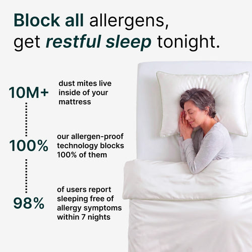 Allergy-Free Sleep Protector Set