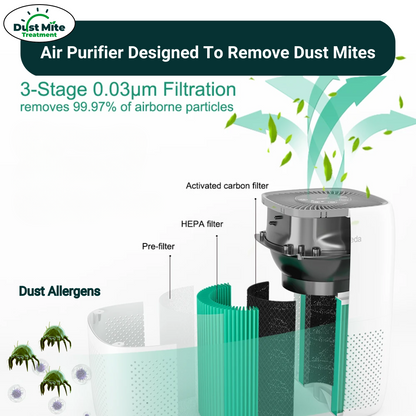Air Purfier for Dust Mites | HEPA Filter for Dust Mite Allergy - Dust Mite Treatment
