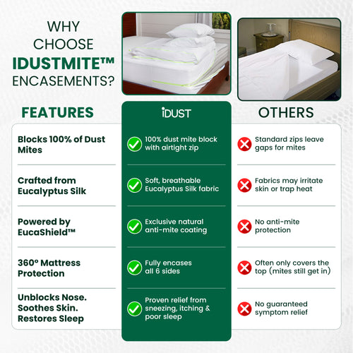 Anti Allergy Dust Mite Protector Set | Mattress / Pillows /  Duvet