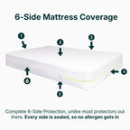 Allergy-Free Sleep Protector Set