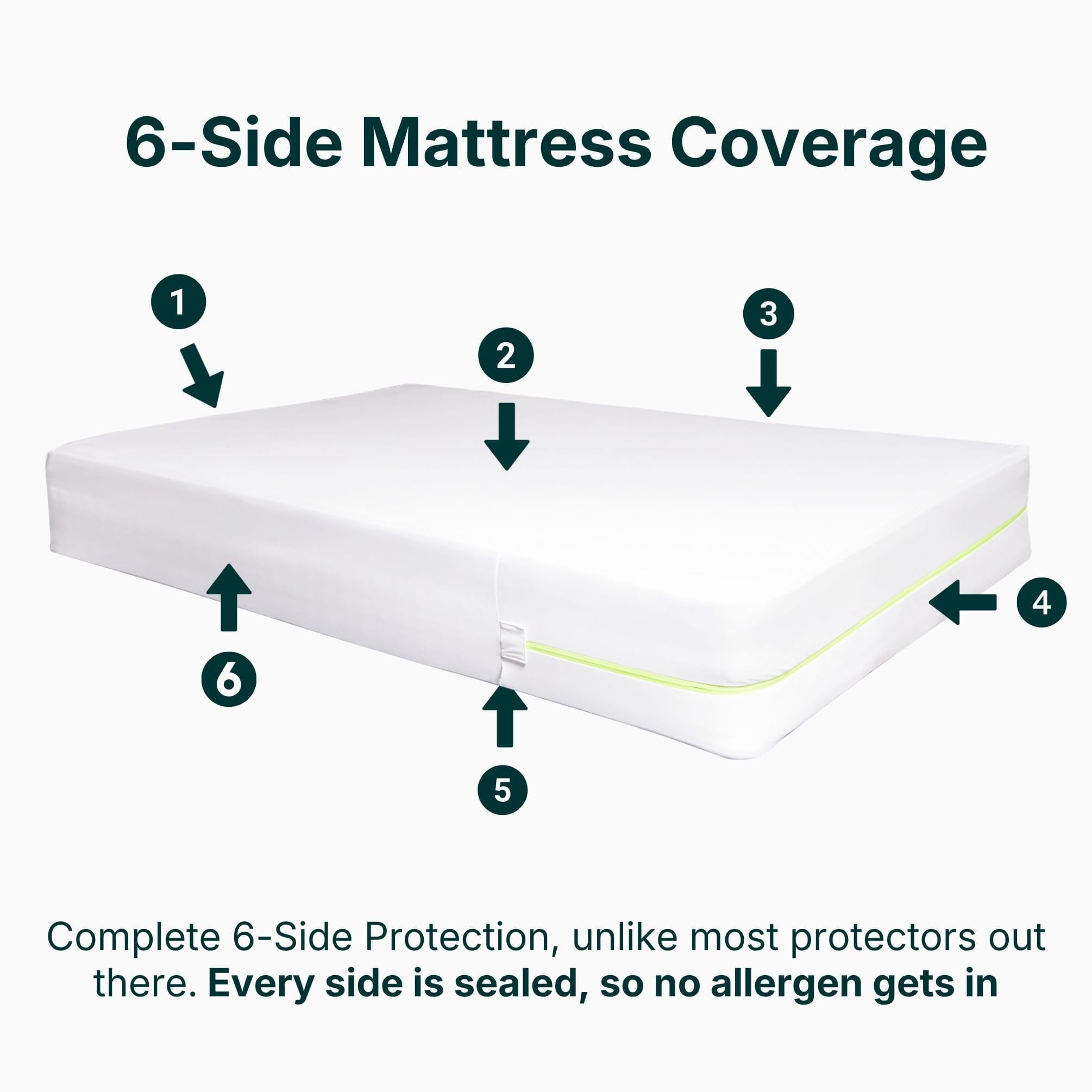Allergy-Free Sleep Protector Set