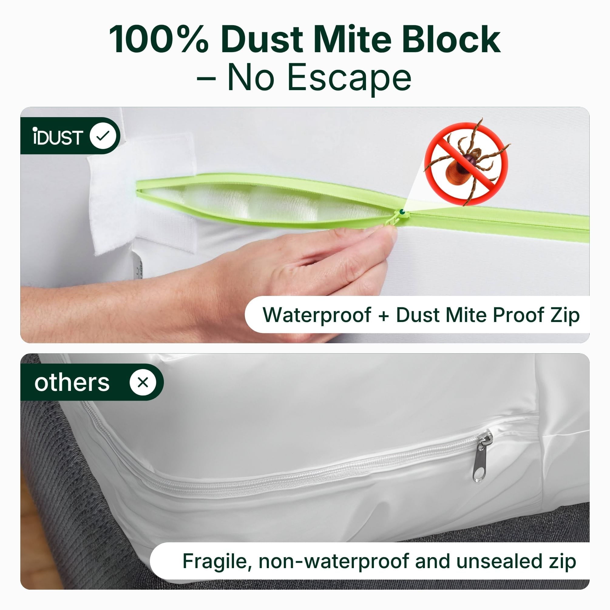 Allergy-Free Sleep Protector Set