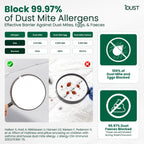 Anti Dust Mite Pillows (Set of 2) – Anti Allergy Bedding