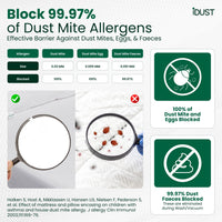 Anti Dust Mite Pillows (Set of 2) – Anti Allergy Bedding