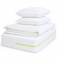 Complete anti allergy bedding set – mattress, pillow, and duvet encasements and protector
