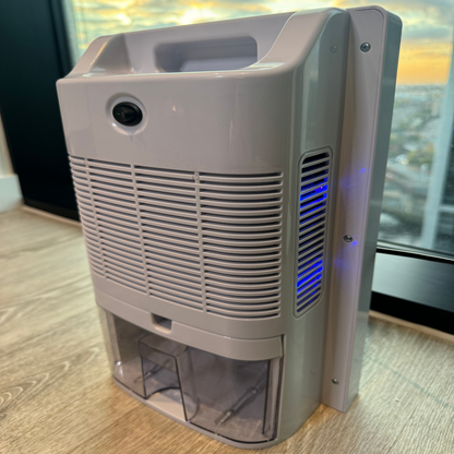 Best Dehumidifier for Dust Mite Allergy - Dust Filter