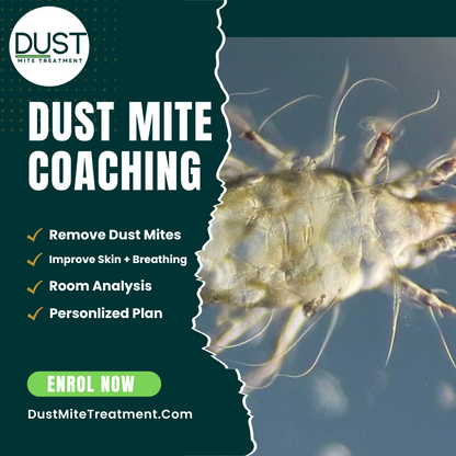 Dust Mite Allergy Treatment |  Consultation | Coaching