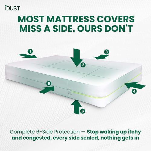 Mattress protector covers all 6 sides to provide dust and allergy proof