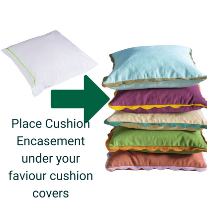 Dust Mite Cushion Protector - Allergy Case