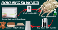Natural Dust Mite Killer Spray (Eucalyptus)