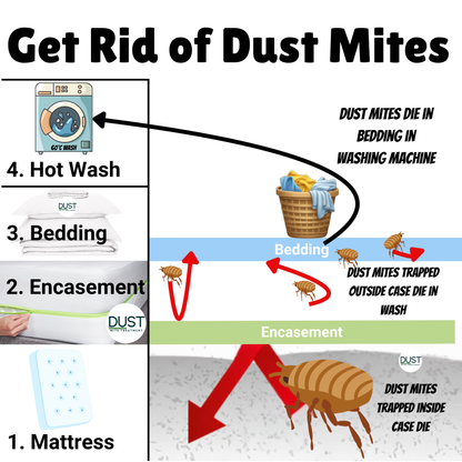 Dust Mite Pillow Protector | Anti Allergy Encasement