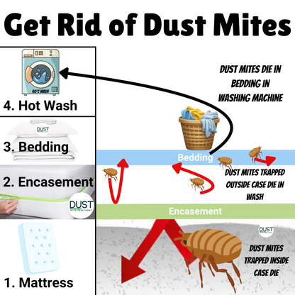 Dust Mite Duvet Encasement | Anti Dust Mite Protector