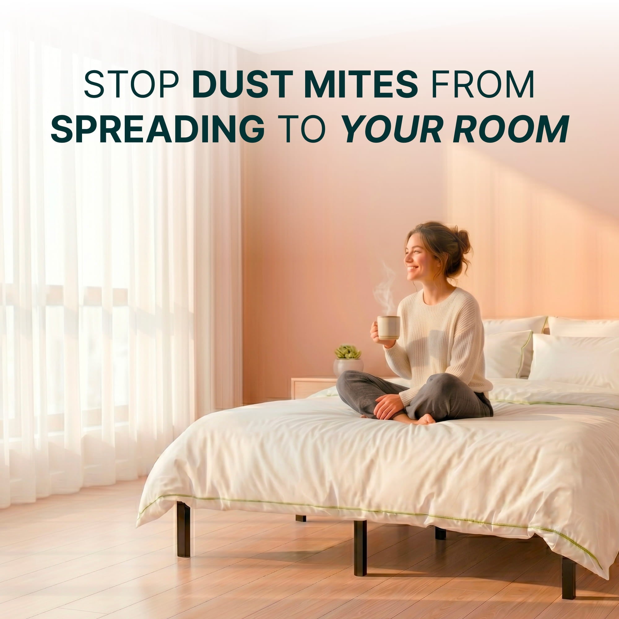 Dust Mite-Proof Metal Bed Frame for Allergy Sufferers