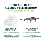 Dust Mite-Proof Metal Bed Frame for Allergy Sufferers