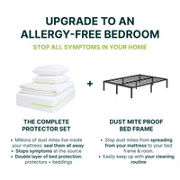 Dust Mite-Proof Metal Bed Frame for Allergy Sufferers