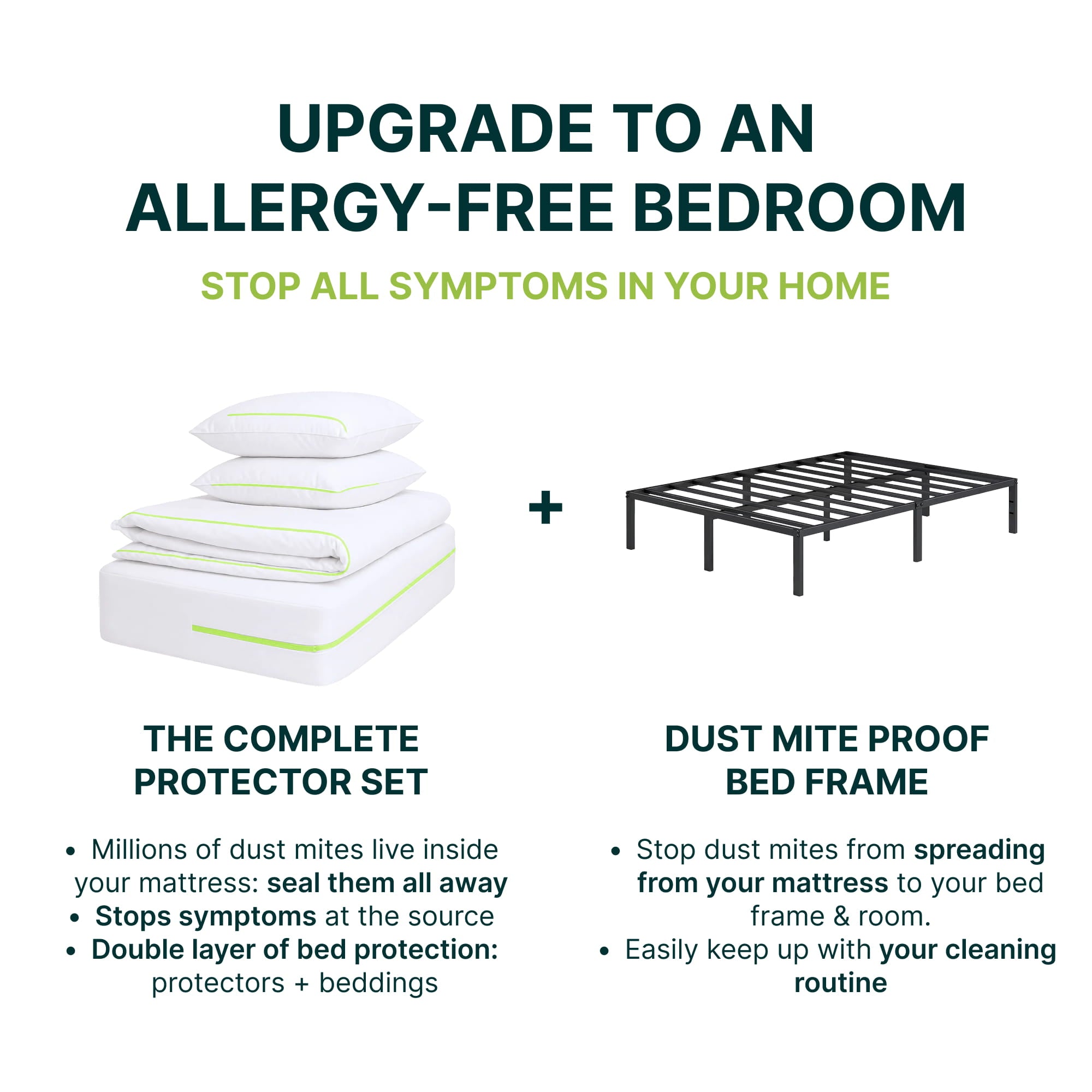 Dust Mite-Proof Metal Bed Frame for Allergy Sufferers