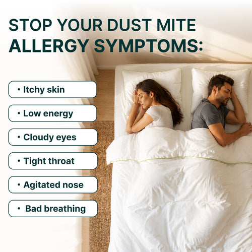 Allergy-Free Sleep Protector Set
