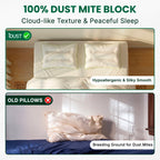 Anti Dust Mite Pillows (Set of 2) – Anti Allergy Bedding