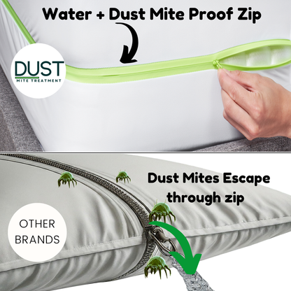 Anti Dust Mite Mattress Encasement | Protector | Cover