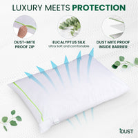 Pillow with eucalyptus silk and dust-mite proof features on a white background