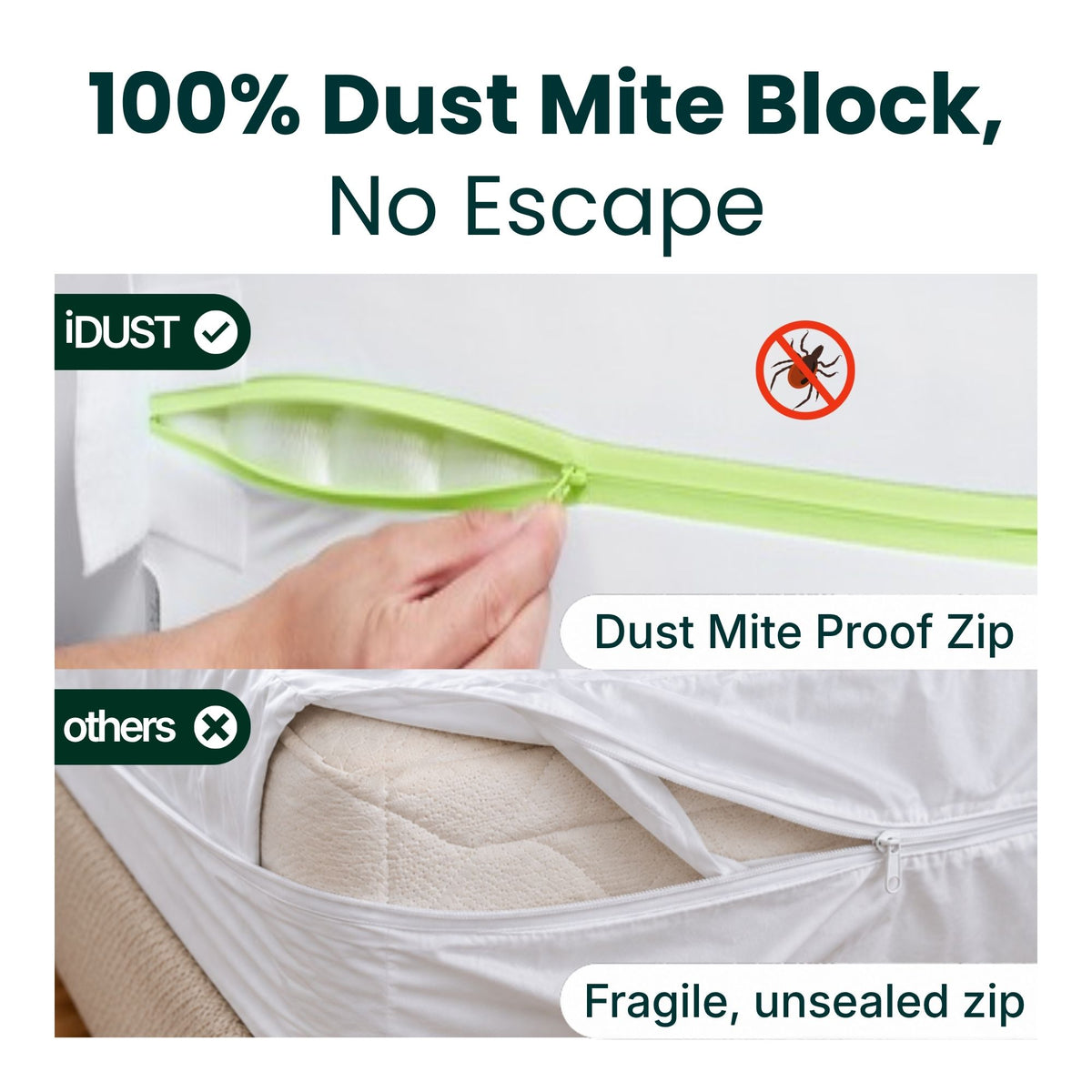 Dust mite proof zip on an iDustMite protector compared with a fragile unsealed standard zip, 100% dust mite block