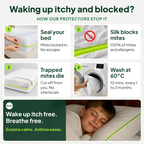 How iDustMite dust mite protectors work: seal your bed, silk blocks mites, trapped mites die, wash at 60C. Wake up itch free and breathe free