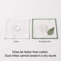 Eucalyptus silk drying faster than cotton, keeping the anti dust mite duvet too dry for dust mites to breed