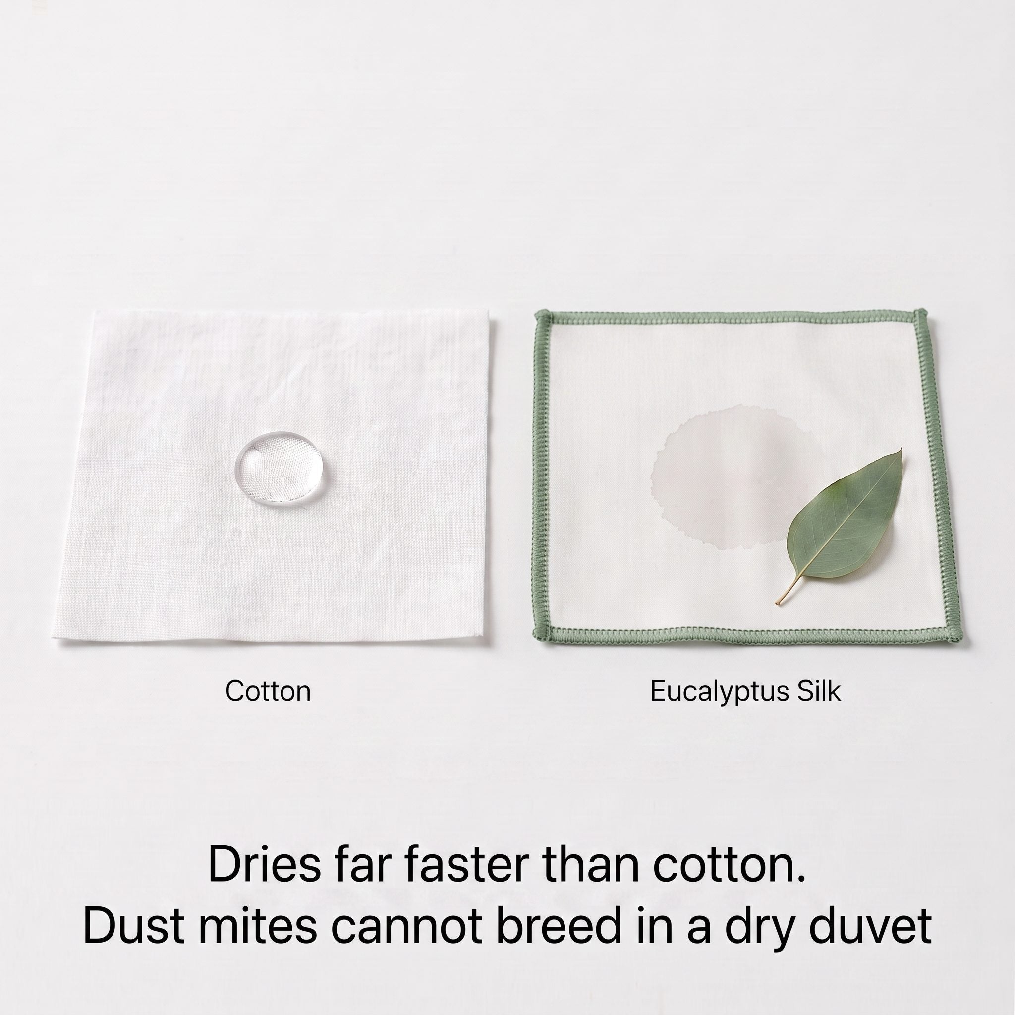 Eucalyptus silk drying faster than cotton, keeping the anti dust mite duvet too dry for dust mites to breed